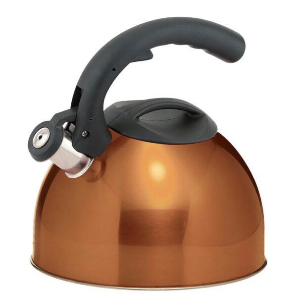 CALDERA 3L SILBADORA FONDO DOBLE COBRE